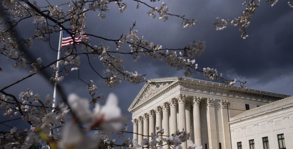 A cherry tree in bloom near the U.S. Supreme Court in Washington, D.C.