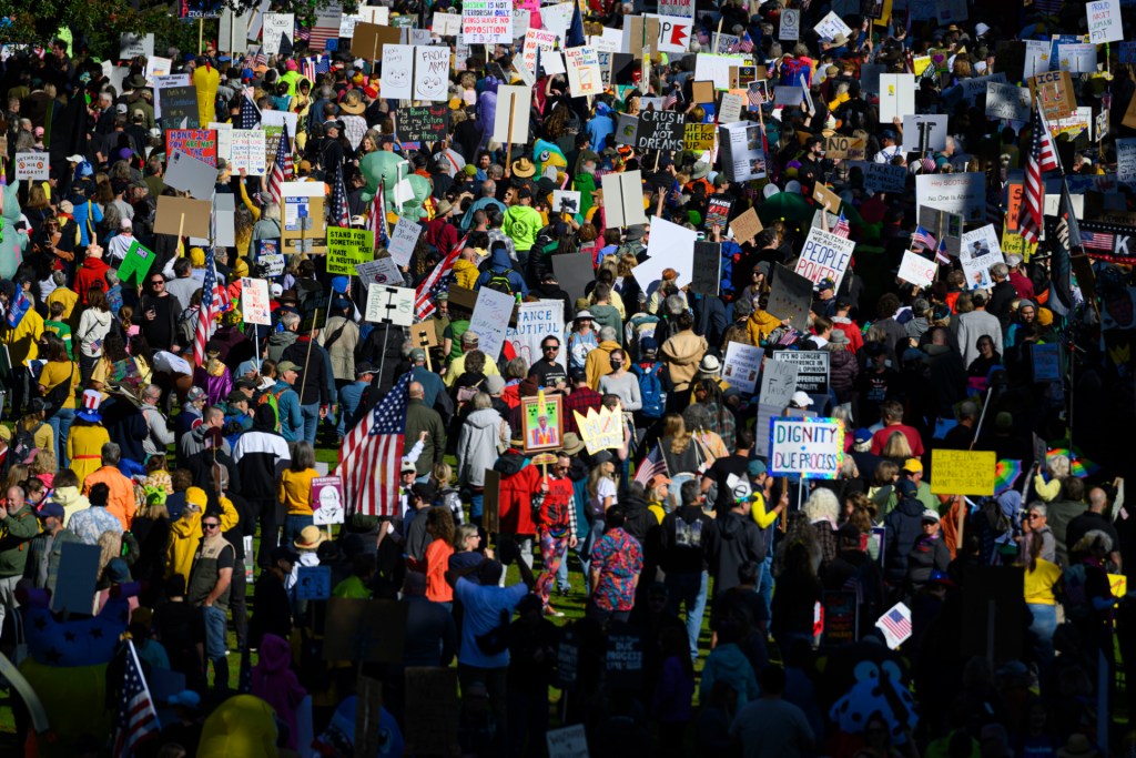 The image shows a crowd of demonstrators in multi-colored clothing holding signs, one near the center of the image wearing a makeshift crown.